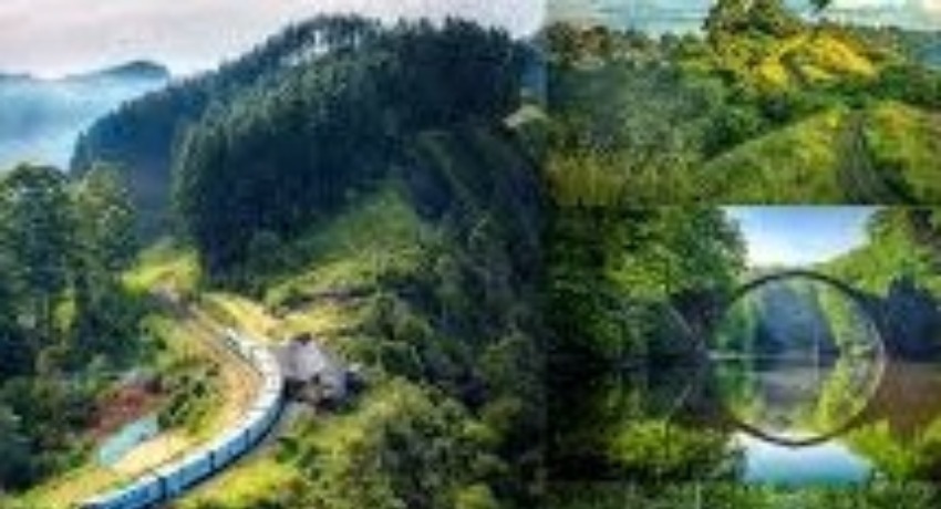 行业洞察 - 好色tv官网 - 行业数据背后趋势解读专区