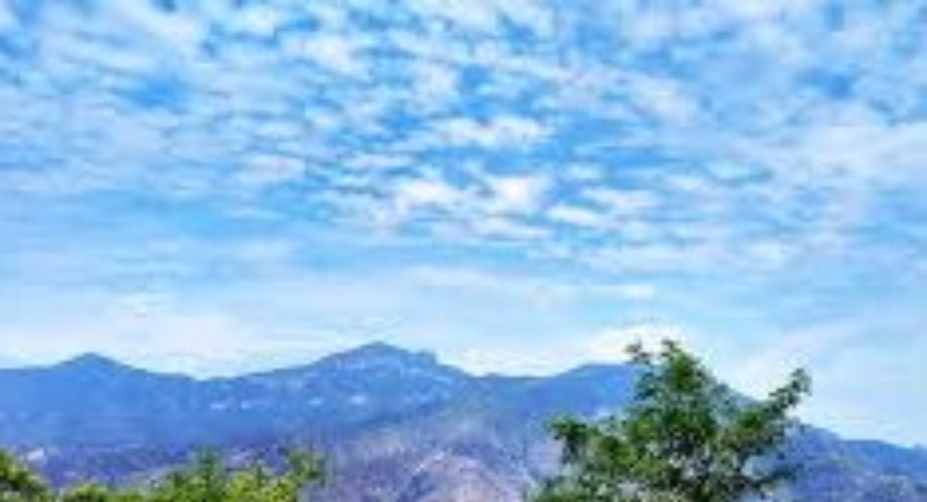传媒风向标 - 好色tv官网 - 年度传媒趋势报告发布专区